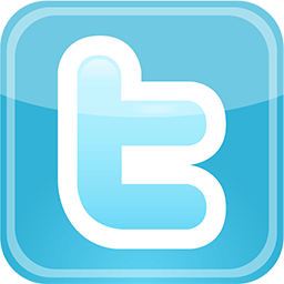 500 Twitter Followers per day